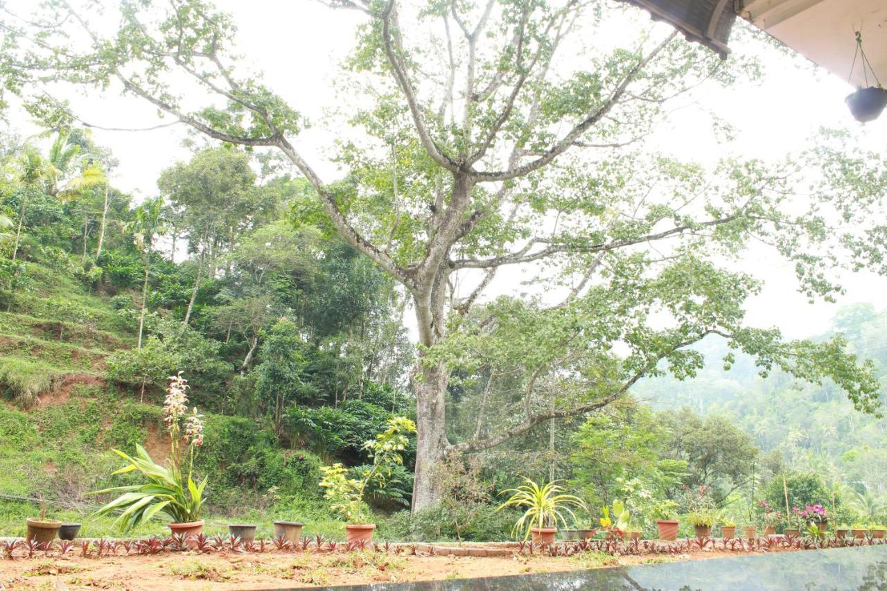 The Mountcourt Hotel Munnar Luaran gambar